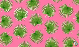 Green fan palms